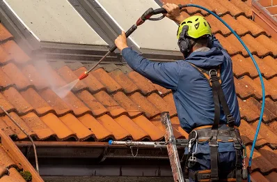 Démoussage et hydrofuge de toiture à Arcinges